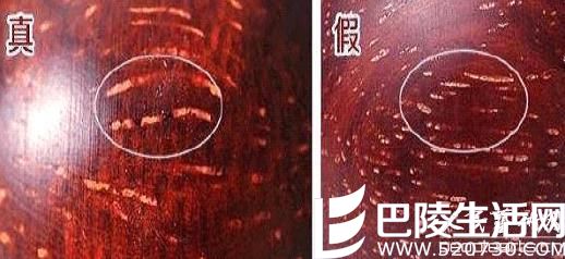 爆金星小叶紫檀的真假图片对比 小叶紫檀有什么功效?