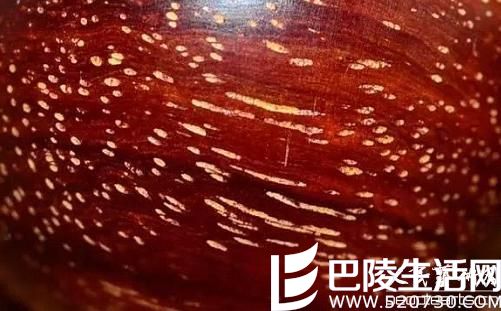 爆金星小叶紫檀的真假图片对比 小叶紫檀有什么功效?